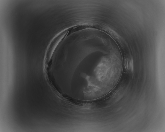 X0000100920388200806241348