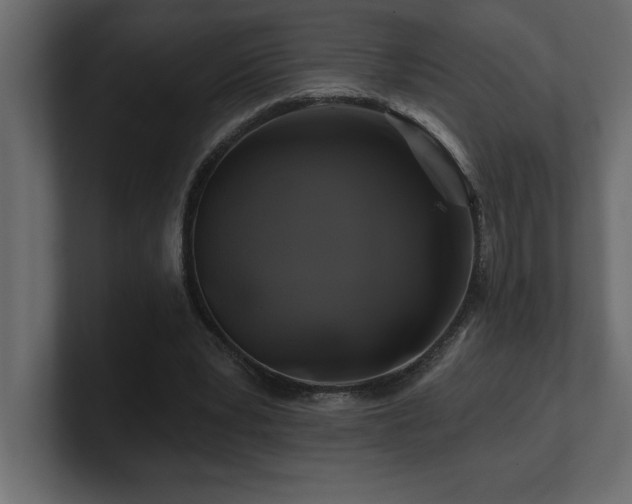 X0000100920391200806241348