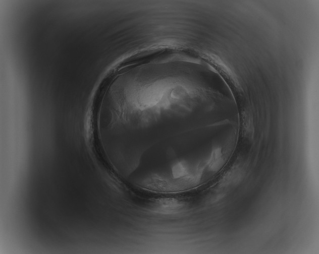 X0000100920392200806241348