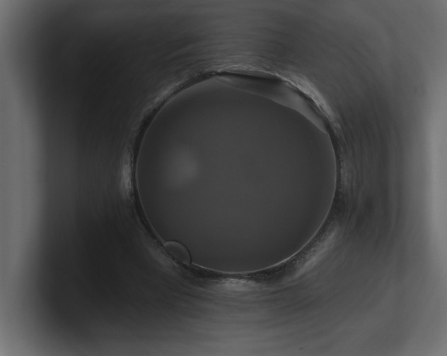 X0000100920393200806241348