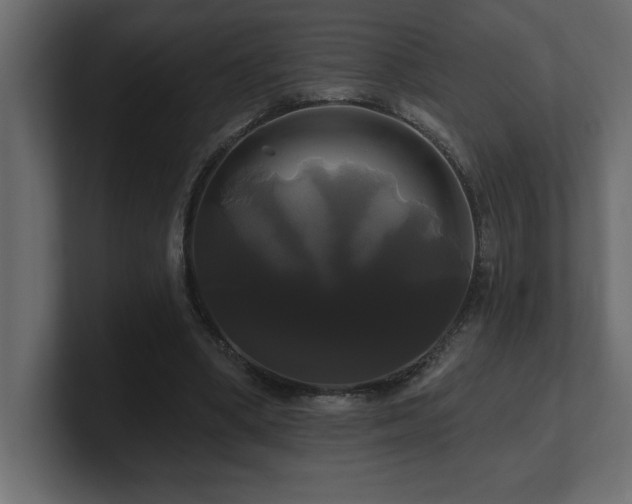 X0000100920394200806241348