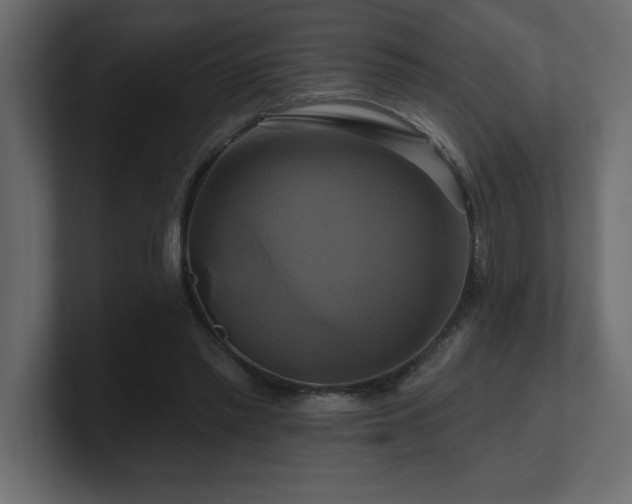 X0000100920397200806241348