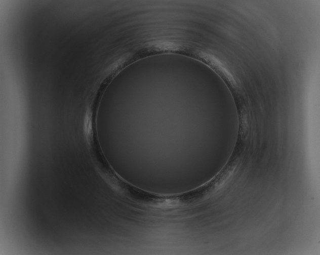 X0000100920398200806241348