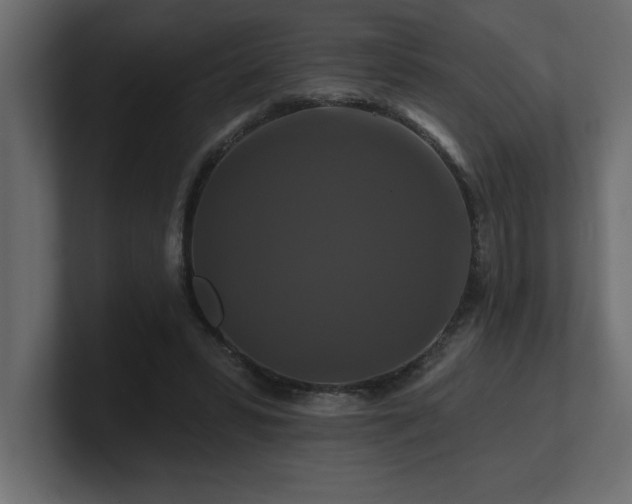 X0000100920399200806241348