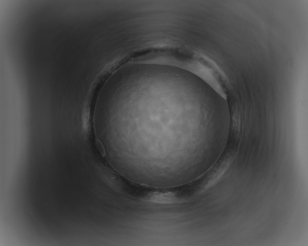 X0000100920403200806241348