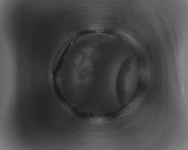 X0000100920404200806241348