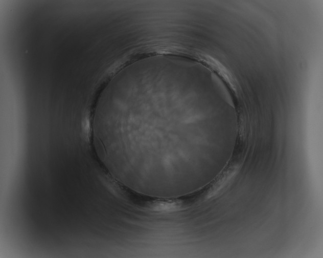 X0000100920405200806241348