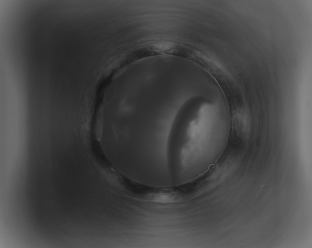 X0000100920412200806241348