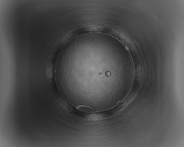 X0000100920413200806241348