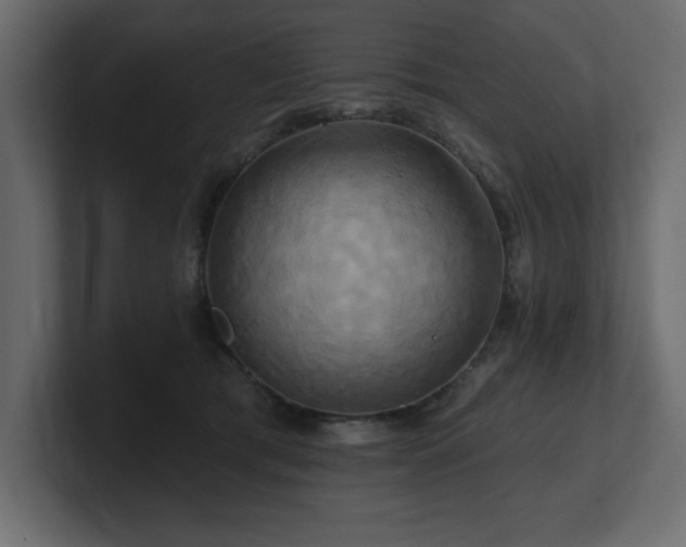 X0000100920417200806241348