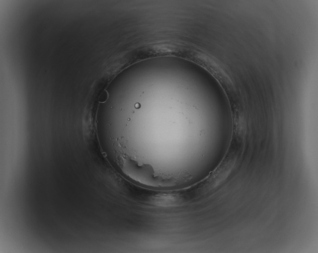 X0000100920418200806241348