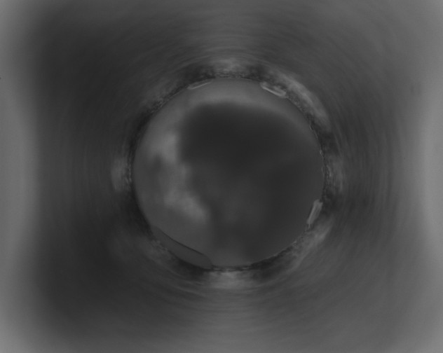 X0000100920419200806241348