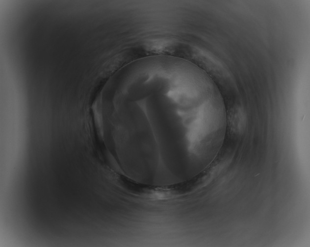 X0000100920420200806241348