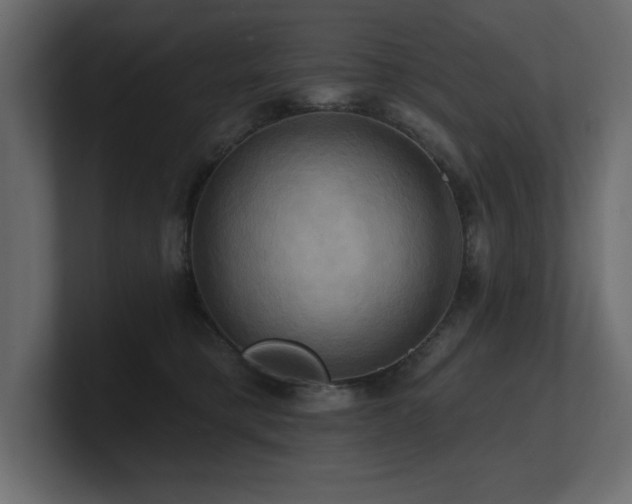 X0000100920421200806241348