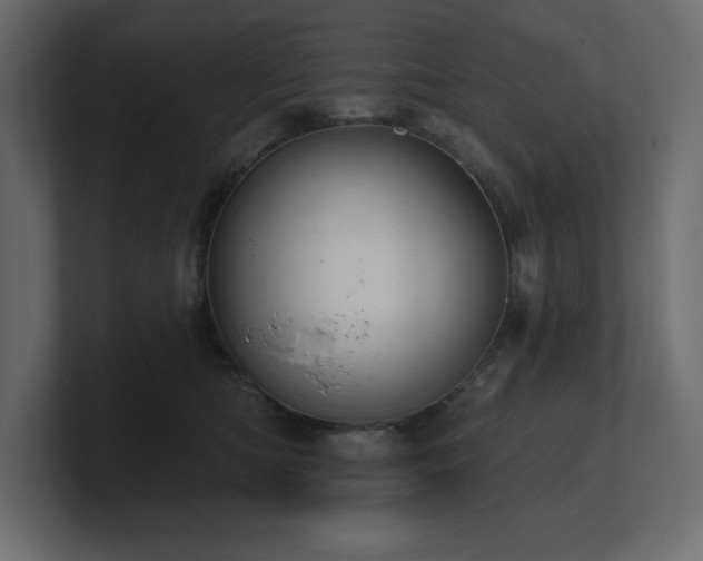 X0000100920422200806241348