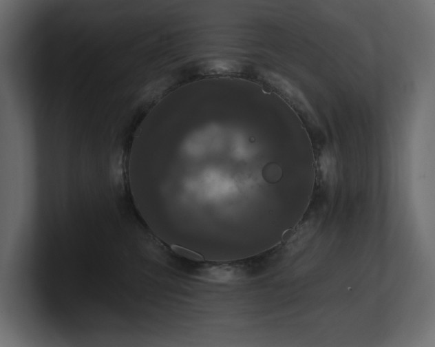 X0000100920423200806241348