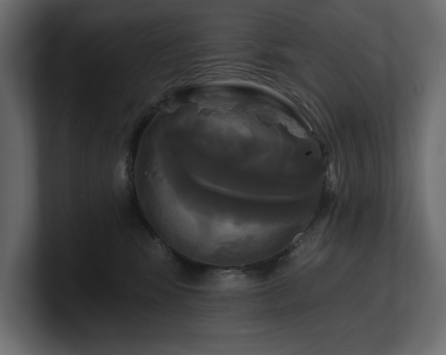 X0000100920424200806241348