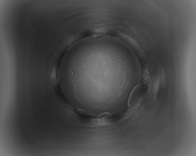 X0000100920428200806241348