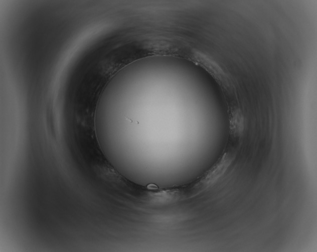 X0000100920430200806241348