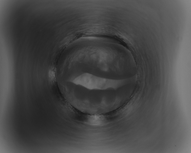 X0000100920432200806241348