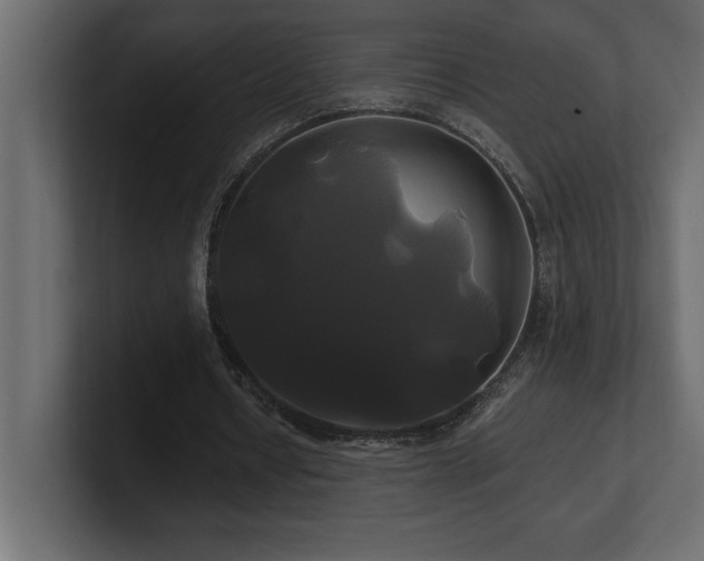 X0000100920434200806241347