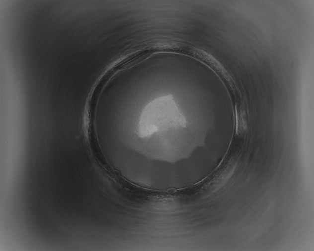 X0000100920435200806241347