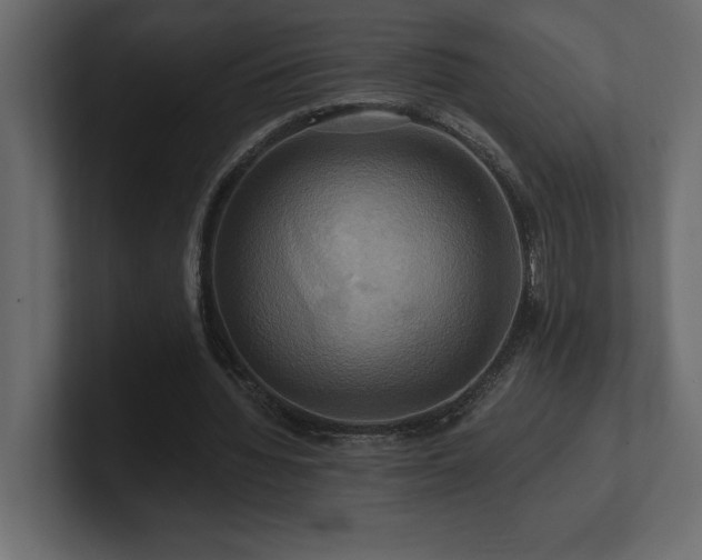 X0000100920436200806241347