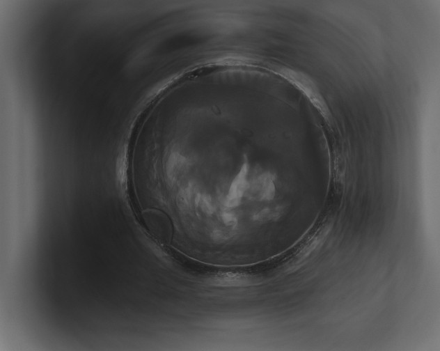 X0000100920437200806241347