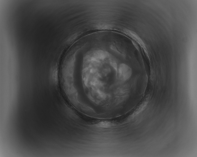 X0000100920441200806241347