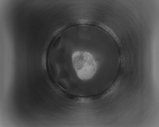 X0000100920442200806241347