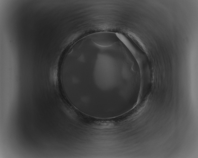 X0000100920443200806241347