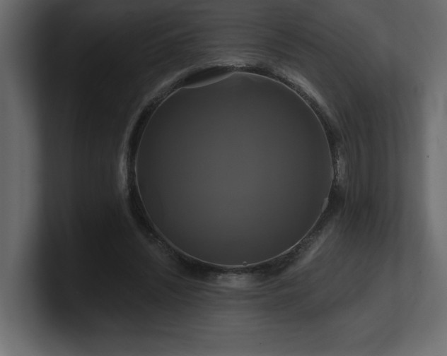 X0000100920444200806241347