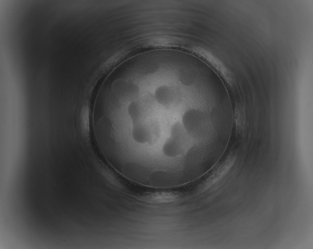 X0000100920445200806241347