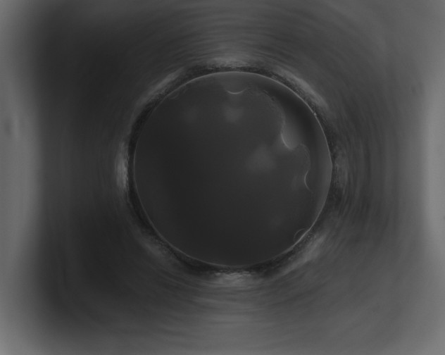 X0000100920446200806241347