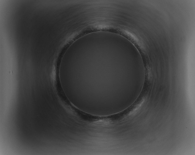 X0000100920447200806241347