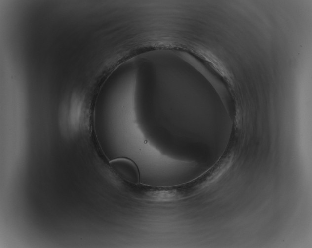 X0000100920449200806241347