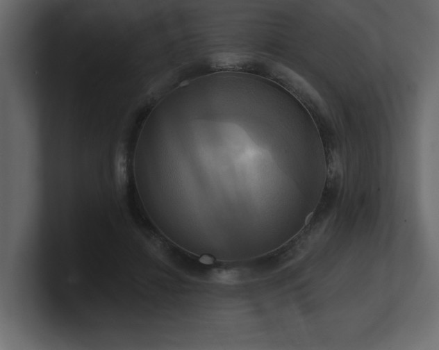 X0000100920452200806241347