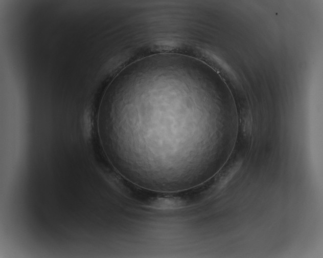 X0000100920455200806241347