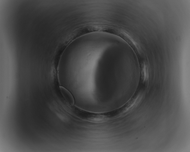 X0000100920459200806241348