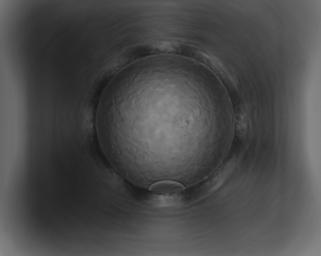 X0000100920466200806241348