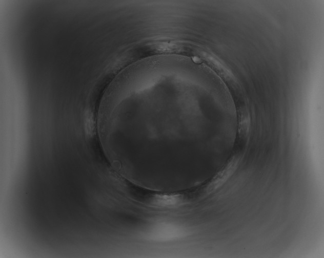 X0000100920469200806241348