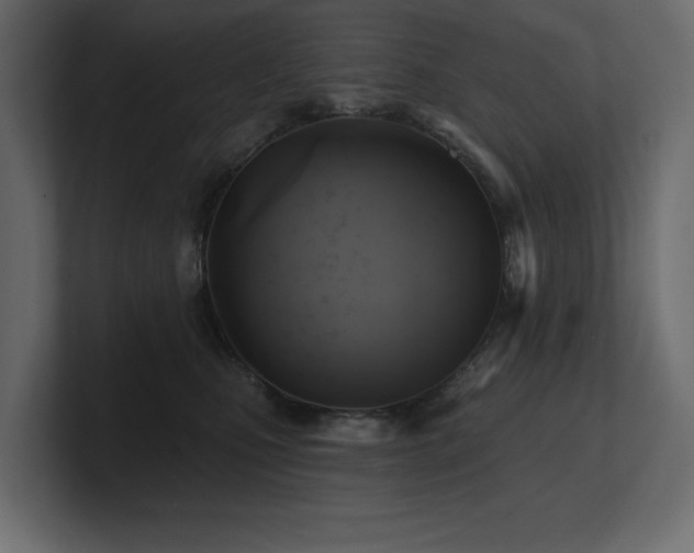 X0000100920471200806241348