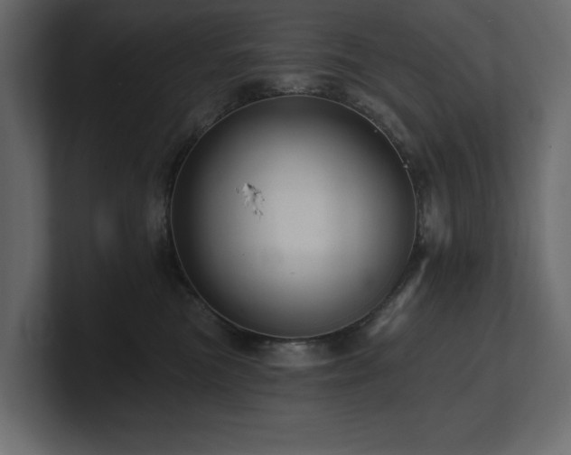 X0000100920473200806241348