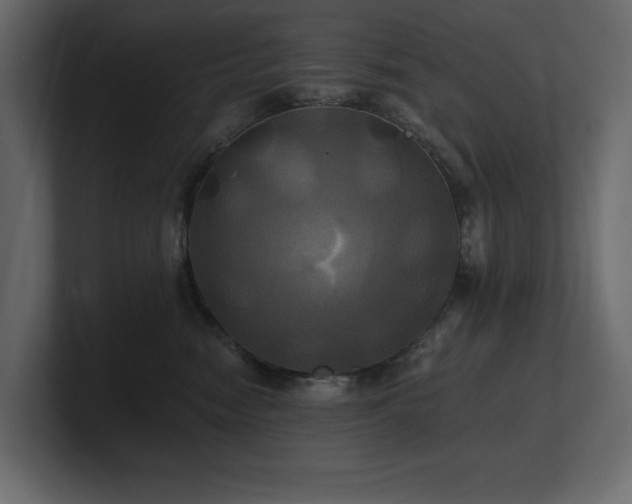 X0000100920474200806241348