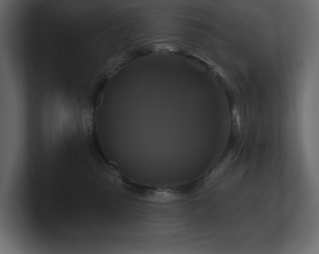 X0000100920475200806241348