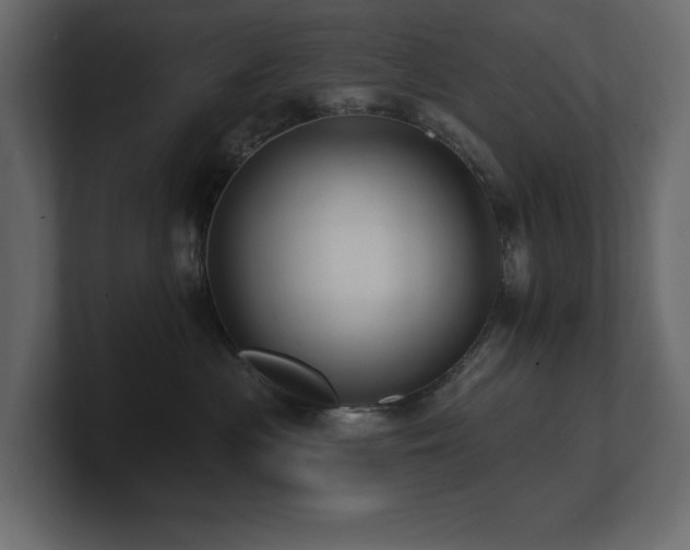 X0000100920477200806241348