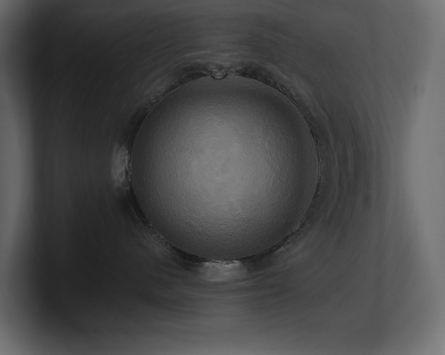 X0000100920480200806241348