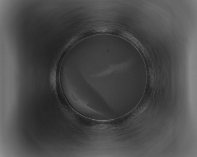 X0000100920482200806241347