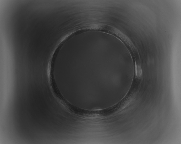 X0000100920483200806241347