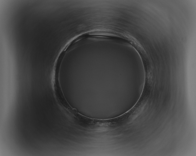 X0000100920484200806241347